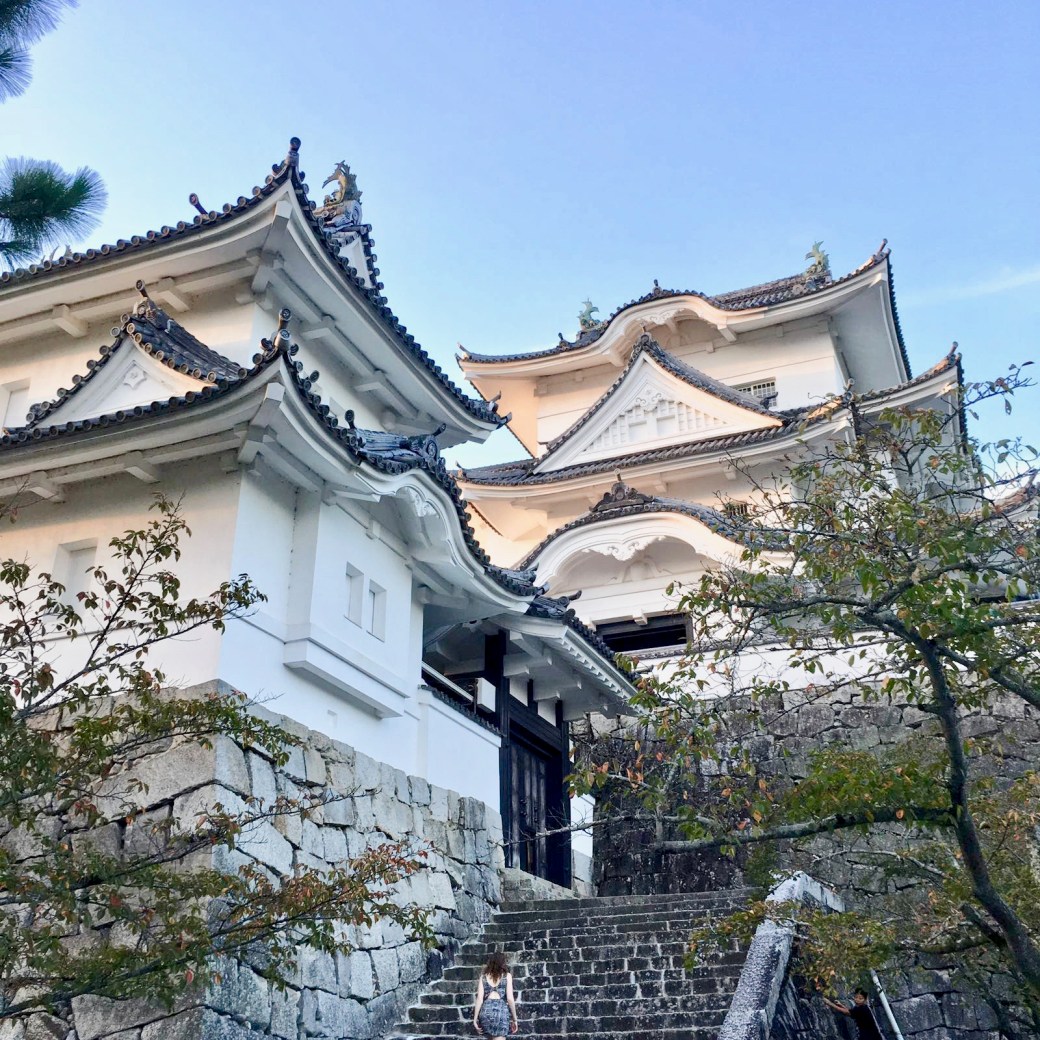 2016-10-15-photo-00000365